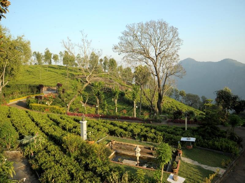 Teanest By Nature Resorts And Stays Coonoor Zewnętrze zdjęcie