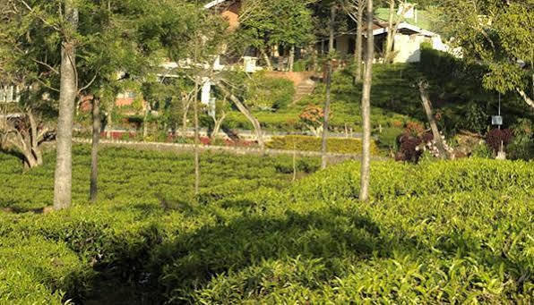 Teanest By Nature Resorts And Stays Coonoor Zewnętrze zdjęcie