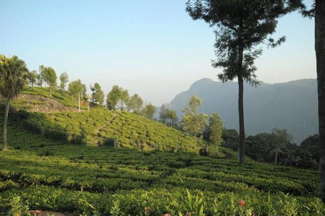 Teanest By Nature Resorts And Stays Coonoor Zewnętrze zdjęcie